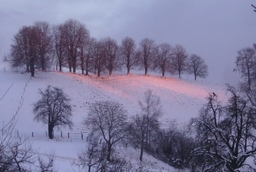 Homberg im Winter